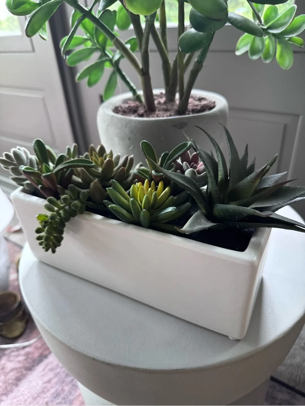 Faux Succulent Arrangement in White Rectangular Planter